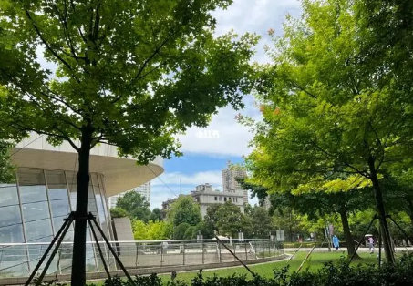 2025年上海夏天热得厉害吗?高温会破纪录吗