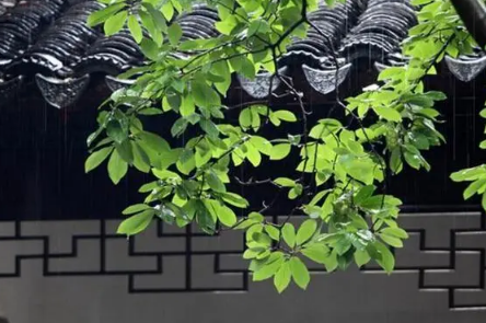 重庆2025何时入梅?梅雨季节天气如何