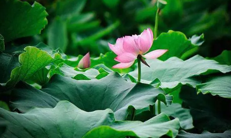 2025三伏天哪几天?如何防暑降温