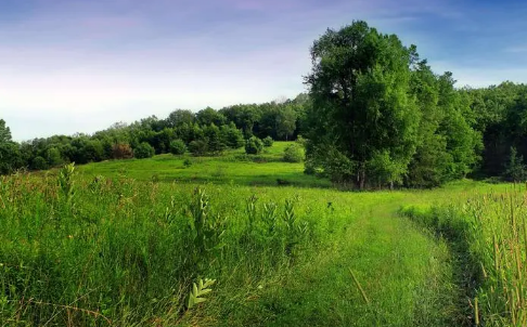 2025年深圳夏天潮湿吗？回南天会更严重吗