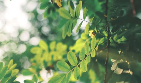 原问题?2025北京夏天何时开始最热