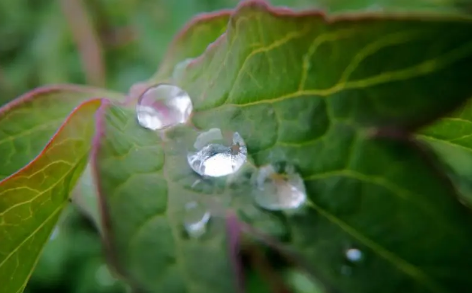 2025年长沙夏天雨水多吗?如何应对雨季出行