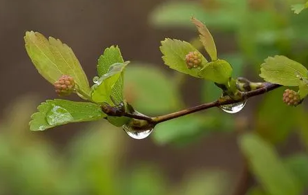 2025年长沙夏天雨水多吗?如何应对雨季出行