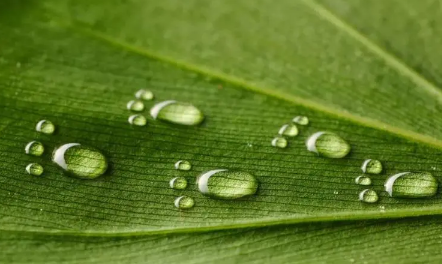 2025年长沙夏天雨水多吗?如何应对雨季出行