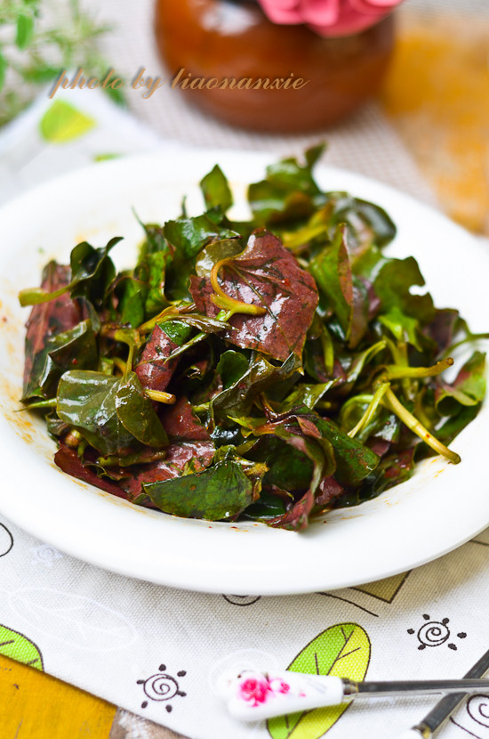 酱拌鱼腥草十大美味做法，一学就会！