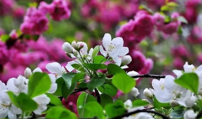 2025年5月长沙天气大概几度?夏季高温会提前吗