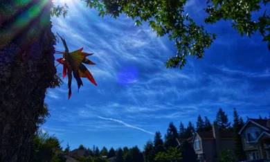 2025年五月会很热吗?高温天气成常态?