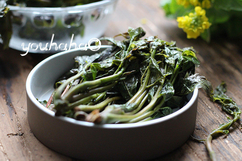 香椿芽十种腌制做法，美味秘诀全公开-图10