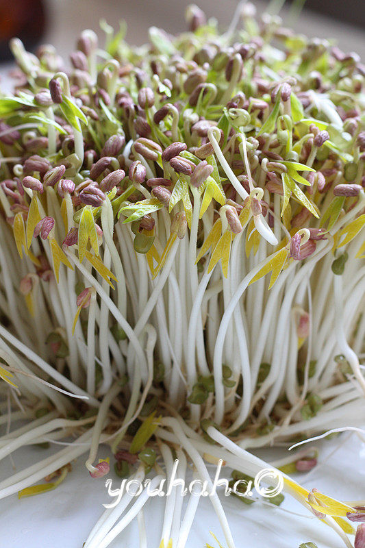 自制绿豆饼：酥软香甜的经典做法-图5