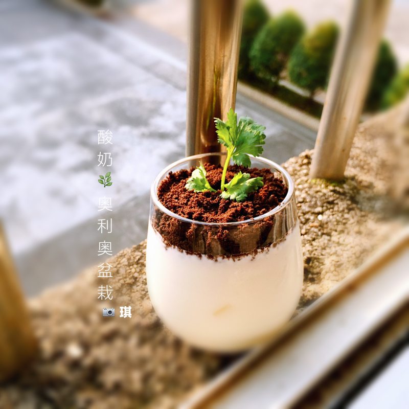 奥利奥盆栽10种绝妙做法，美味升级！-图4