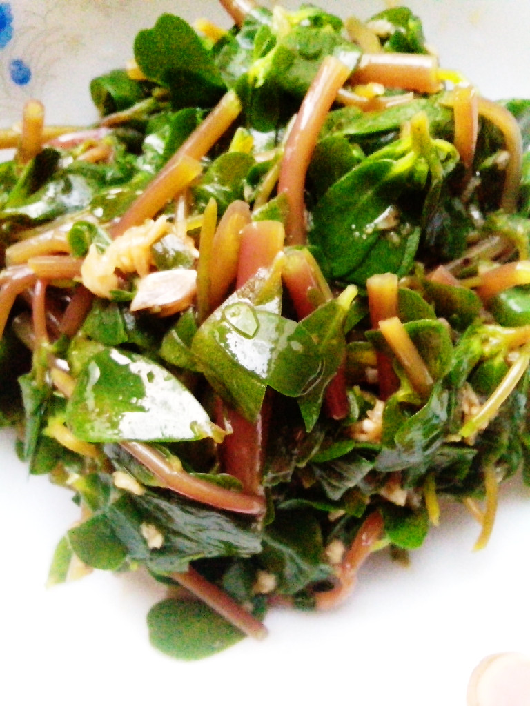 马齿苋煎饼十种美味做法，轻松学做家常风味-图2