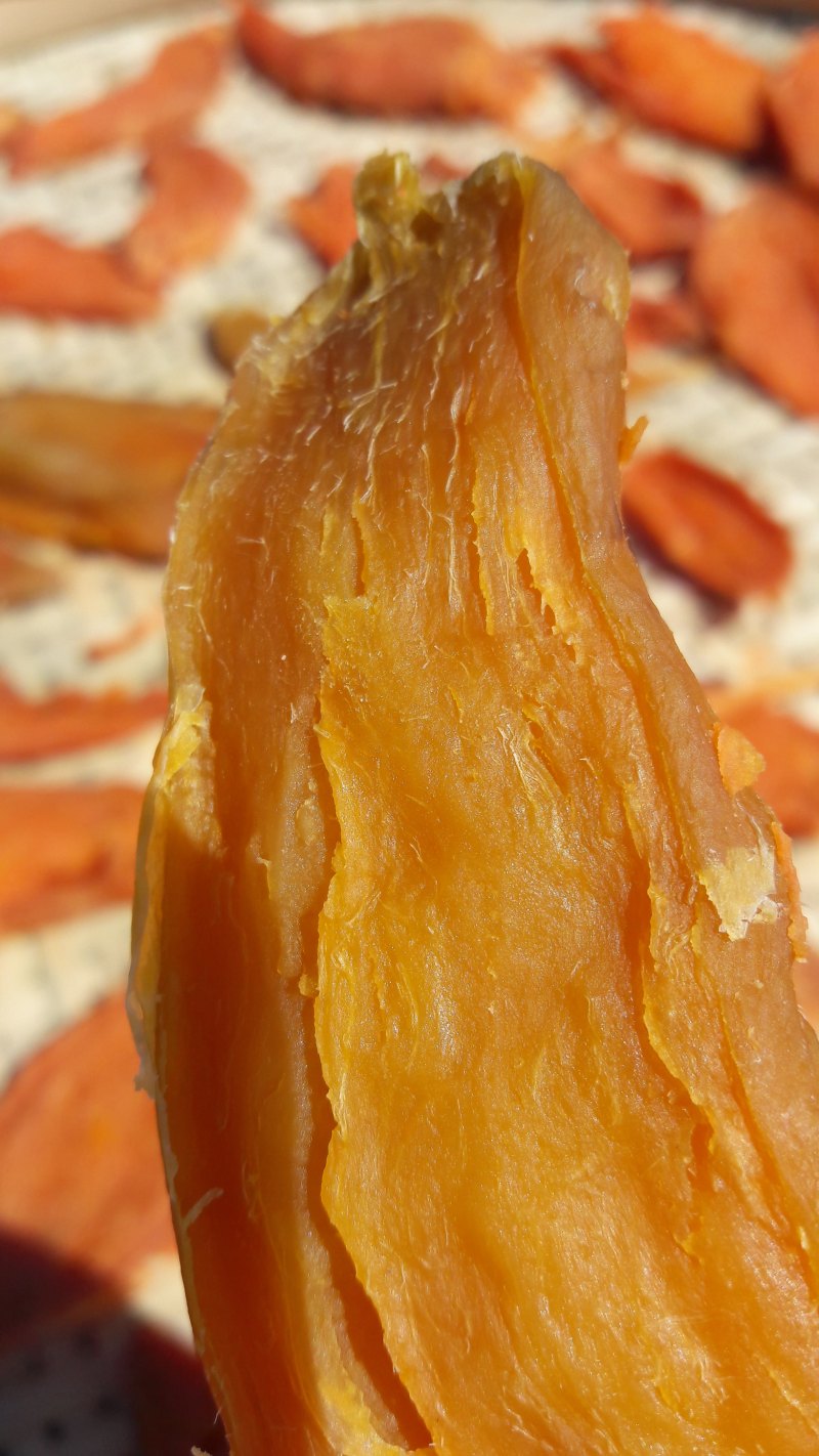 十种自晒红薯干美味做法，好吃秘诀全公开-图9