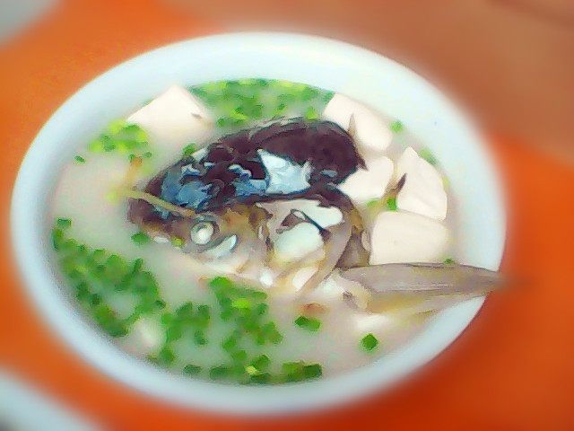 正宗鳙鱼豆腐汤做法详解-图5