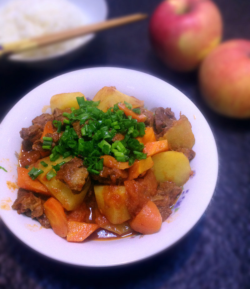 十种蕃茄炖牛腩做法，美味秘诀全解析-图6