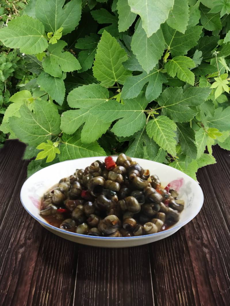 香辣小螺蛳10种绝味做法，好吃到停不下来-图6