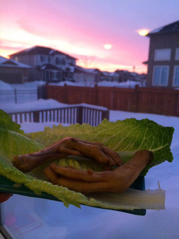 黄豆鸭翅十种美味做法，家常煲汤简单易学-图8