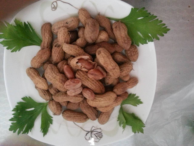 五香嫩花生家常做法配料详解