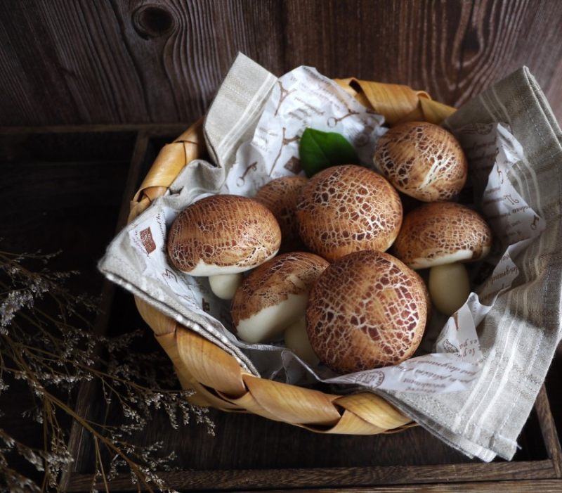 10款家常造型饼干做法，轻松上手零失败！-图10