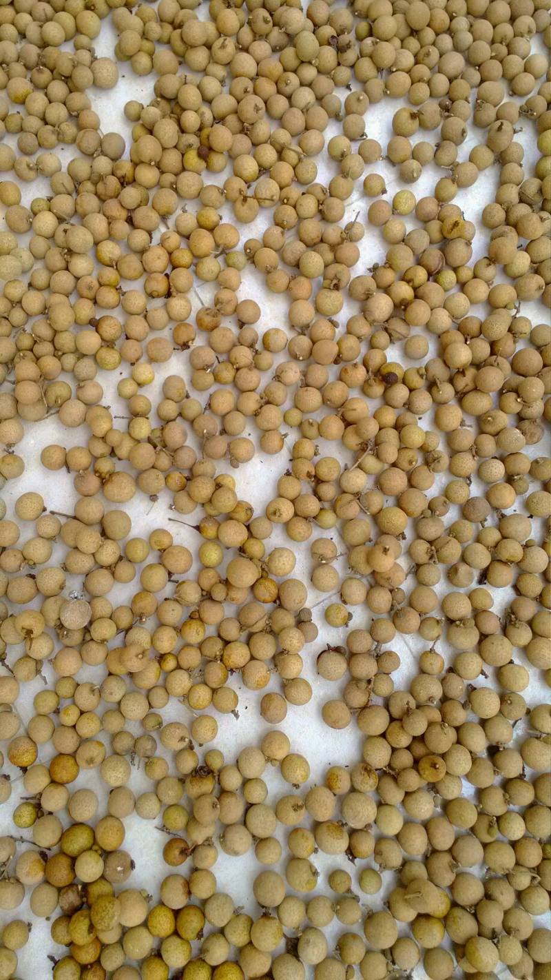 10种晒萝卜干秘方，美味做法一网打尽-图1