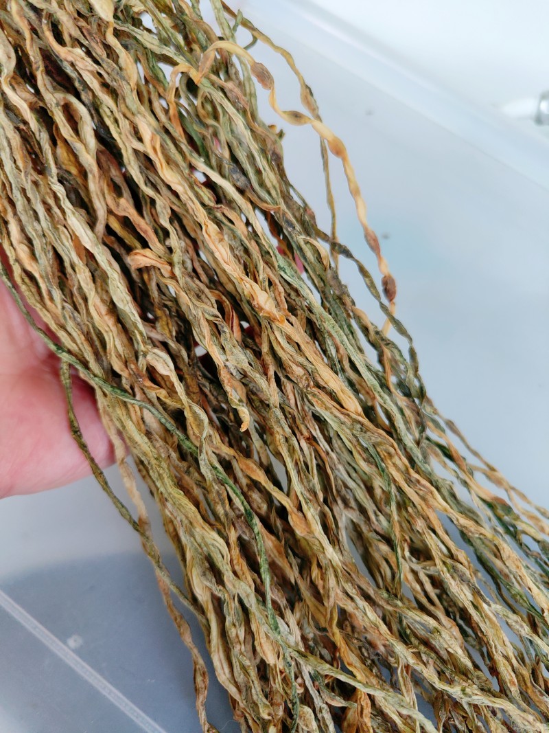 角瓜炒豆干10种美味做法，家常菜轻松升级-图6