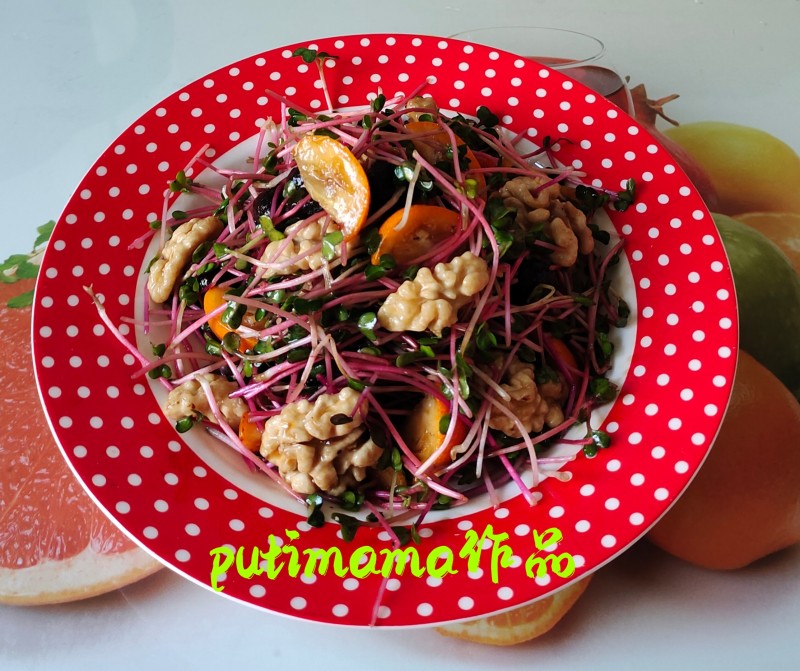 鸡丝萝卜苗十种美味做法，鲜嫩爽口一学就会-图2