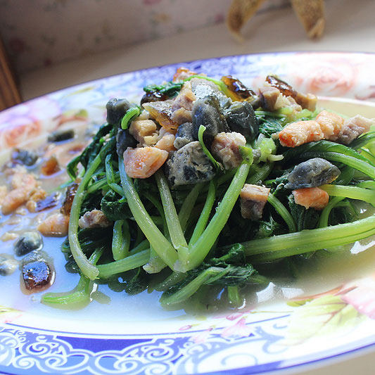 鸡丝萝卜苗十种美味做法，鲜嫩爽口一学就会-图8