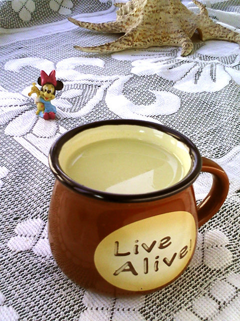 白果豆浆制作全攻略：简单步骤，营养美味-图2