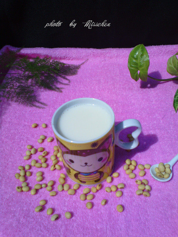 臻味豆浆家常做法大全，十种美味轻松学-图7