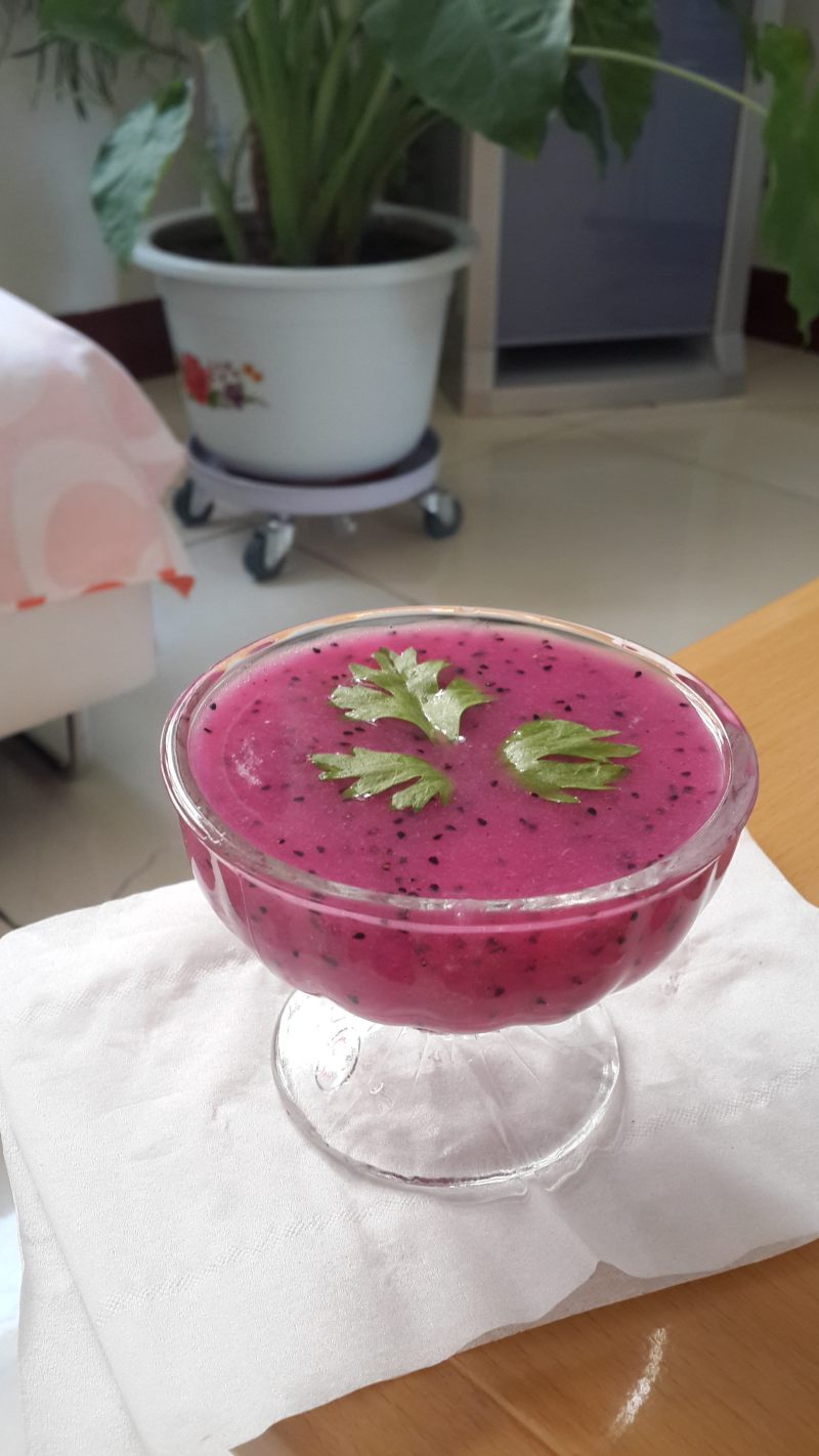 火龙果干制作全攻略：家常做法轻松上手-图9