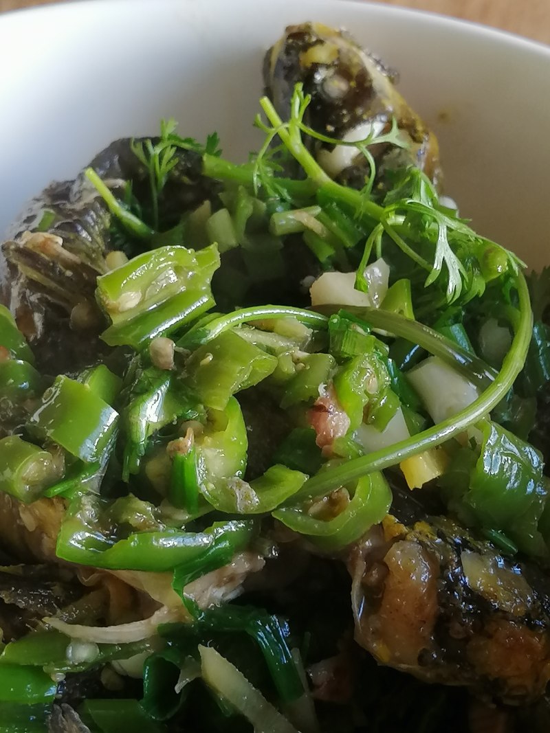 酸汤黄辣丁家常做法，鲜香开胃一学就会-图10