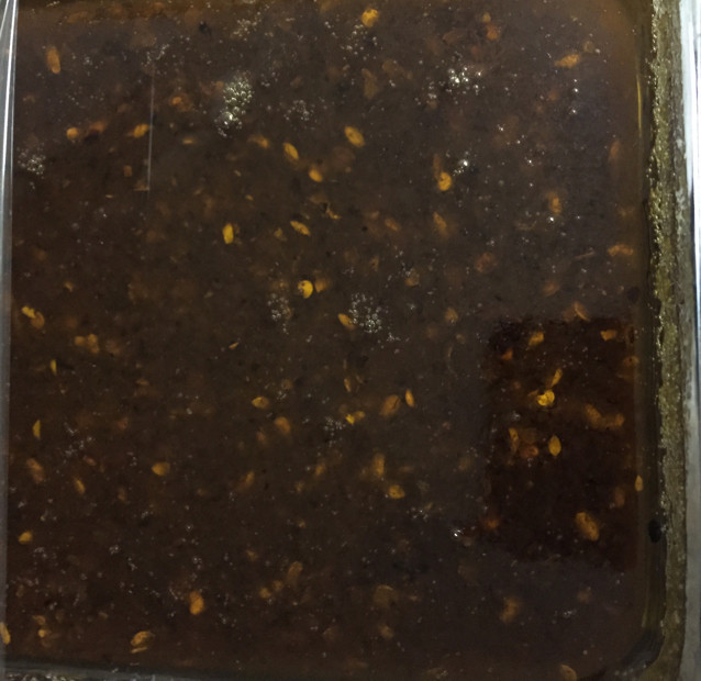 酱烧海鲜十大经典做法，鲜香美味一网打尽