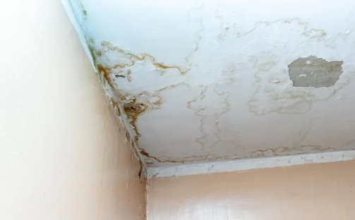 修楼房漏水的是哪些人?3类常见维修人员解析