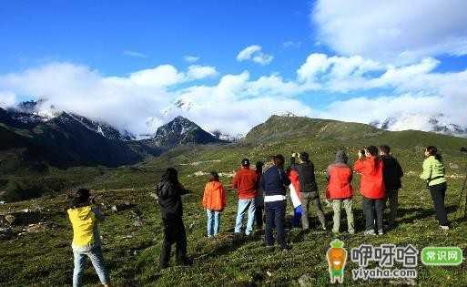 西藏旅游必备!3 种应对高原反应头疼的实用方法