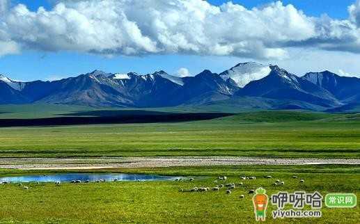 西藏旅游必备!3 种应对高原反应头疼的实用方法