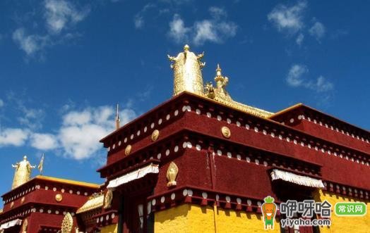 佛教寺院游览必备:常识、禁忌全知道,探寻怀古发幽之处