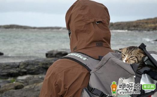 户外旅行必知:如何选择旅行背包,装备准备全攻略