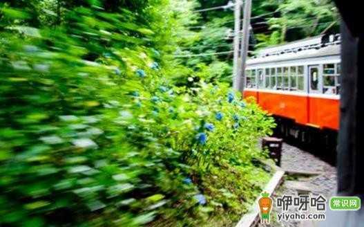 出境旅游自我保护要点,避免卷入不必要麻烦的3大方法