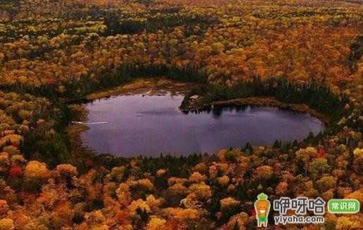 全球五大天然心型湖,带她打卡,给她浪漫惊喜!