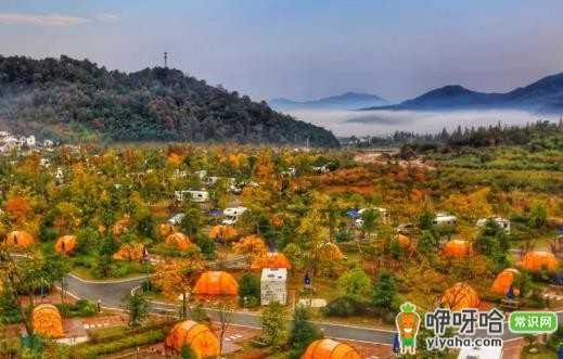 掌握这些露营小妙招,让你轻松露营玩得更开心