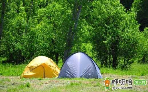 掌握这些露营小妙招,让你轻松露营玩得更开心