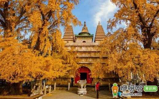 北京自由行必打卡!探秘北京N个更好玩的新景点