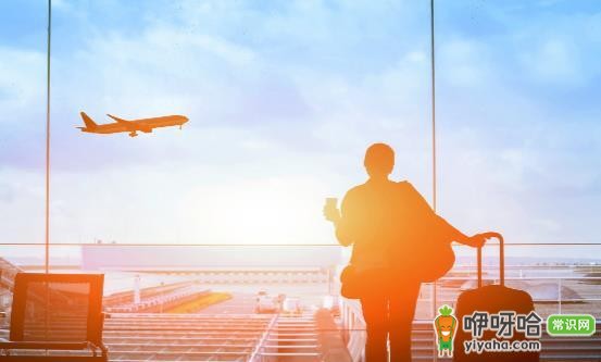 出国旅行必知!海关通关常识与 10 条实用行李清单分享