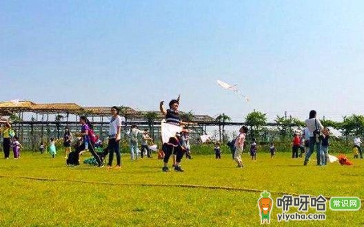 家长亲子游必做的 5 大功课,带孩子出行必备!