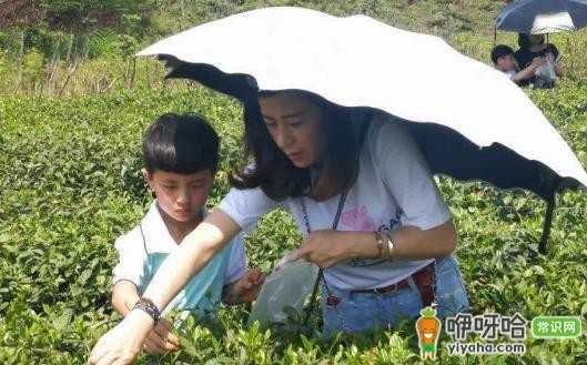 家长亲子游必做的 5 大功课,带孩子出行必备!