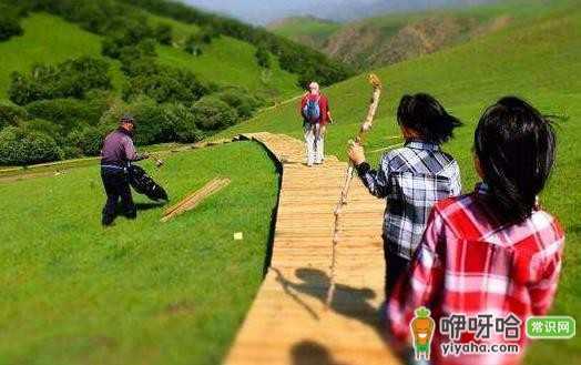 家长亲子游必做的 5 大功课,带孩子出行必备!