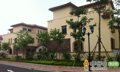 石嘴山公租房申请条件及买卖政策全解析,一文读懂!