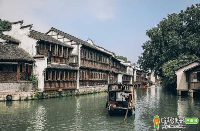 五一必去!来乌镇景区,一叙梦里江南小镇情怀