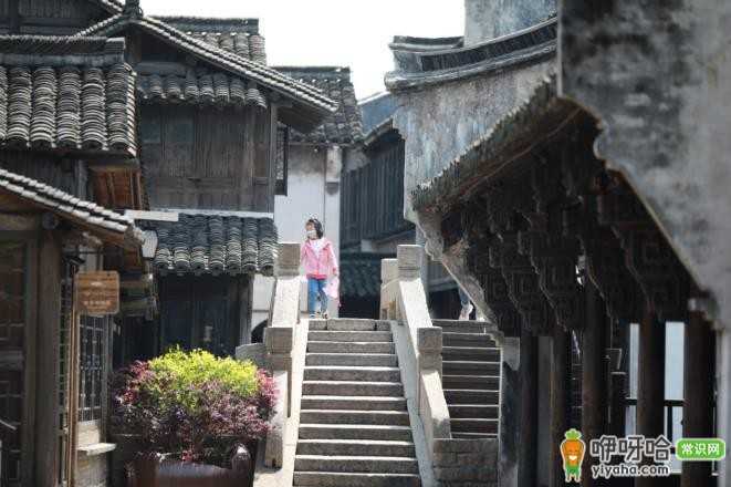 五一必去!来乌镇景区,一叙梦里江南小镇情怀