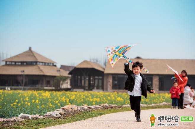 五一必去!来乌镇景区,一叙梦里江南小镇情怀