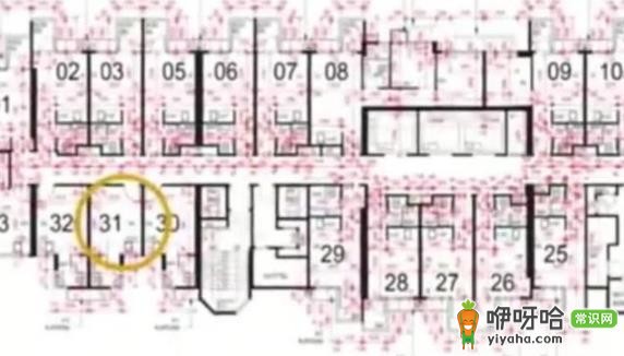 14平米!香港超小“车位房”开卖,虽小却家具家电一应俱全